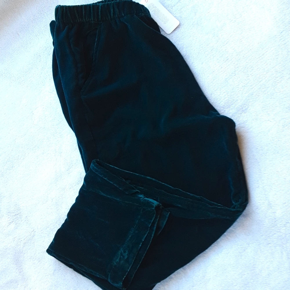 Gymboree Velvet Pant Girl